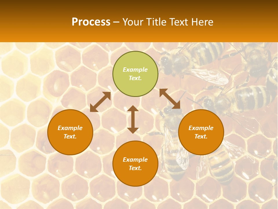 A Group Of Bees Sitting On Top Of A Honeycomb PowerPoint Template