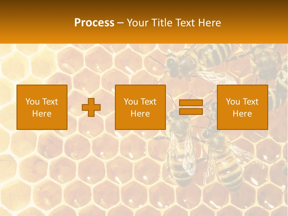 A Group Of Bees Sitting On Top Of A Honeycomb PowerPoint Template