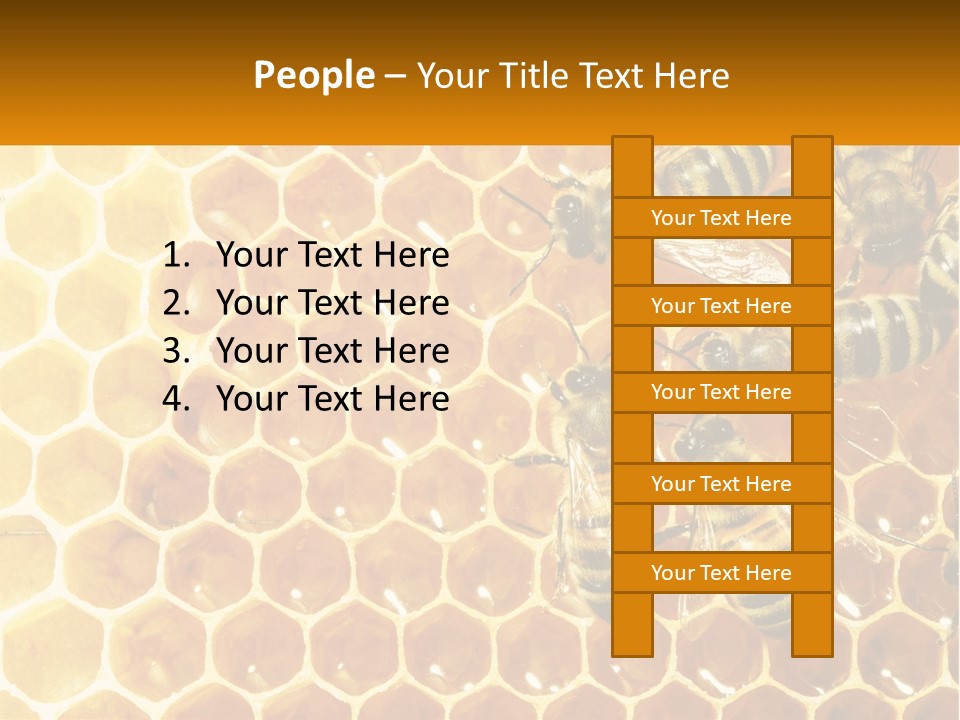 A Group Of Bees Sitting On Top Of A Honeycomb PowerPoint Template