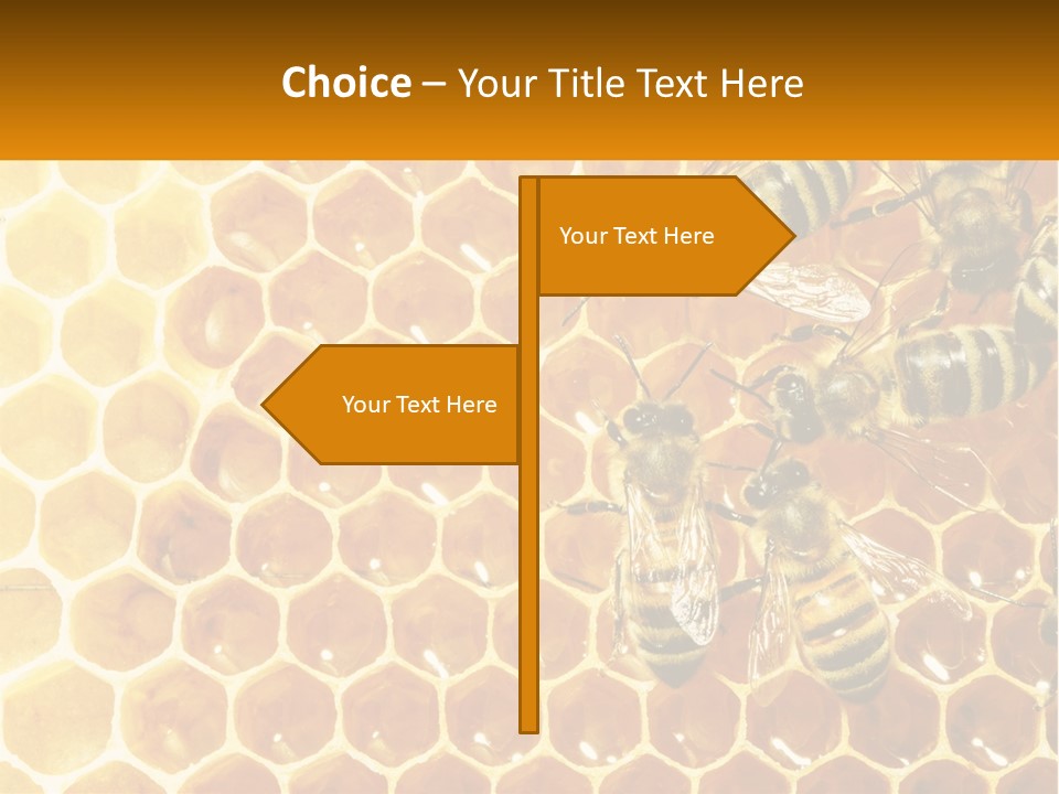 A Group Of Bees Sitting On Top Of A Honeycomb PowerPoint Template
