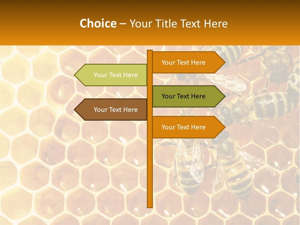 A Group Of Bees Sitting On Top Of A Honeycomb PowerPoint Template
