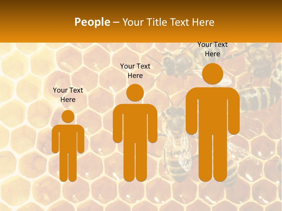 A Group Of Bees Sitting On Top Of A Honeycomb PowerPoint Template