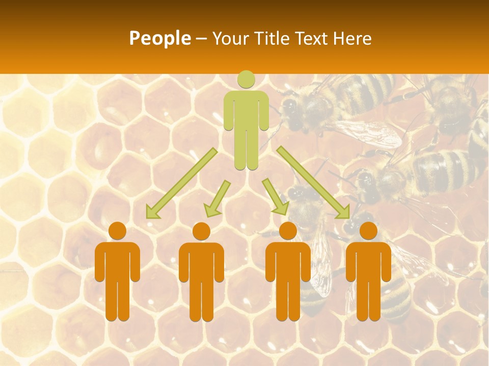 A Group Of Bees Sitting On Top Of A Honeycomb PowerPoint Template