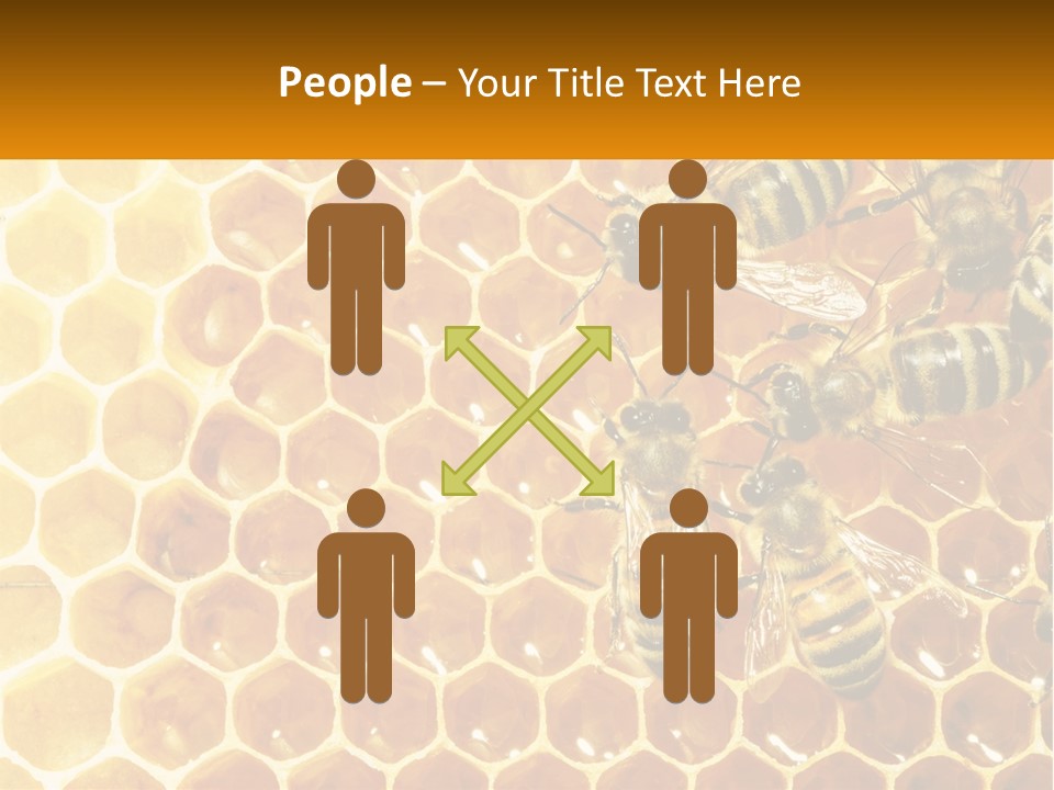 A Group Of Bees Sitting On Top Of A Honeycomb PowerPoint Template