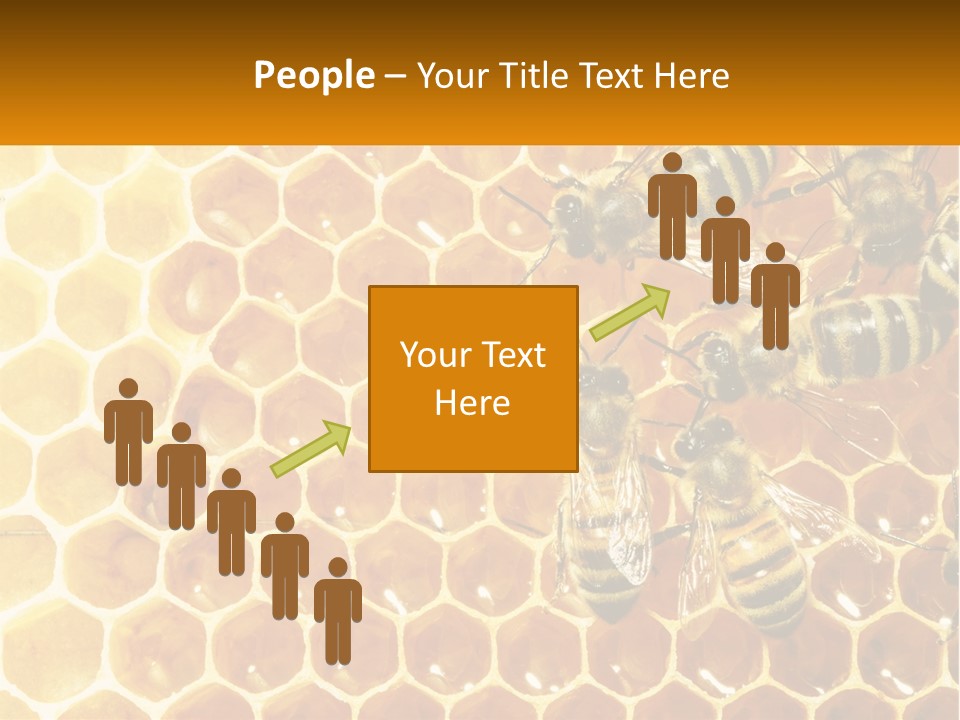 A Group Of Bees Sitting On Top Of A Honeycomb PowerPoint Template