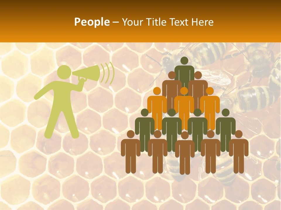A Group Of Bees Sitting On Top Of A Honeycomb PowerPoint Template