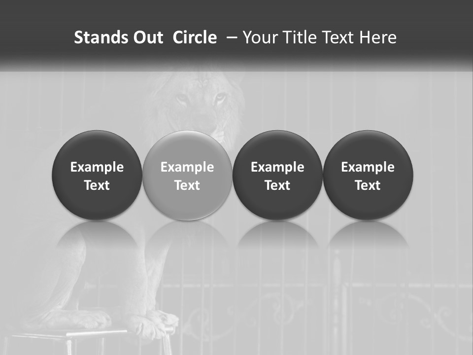 A Lion Sitting In A Cage On Top Of A Table PowerPoint Template