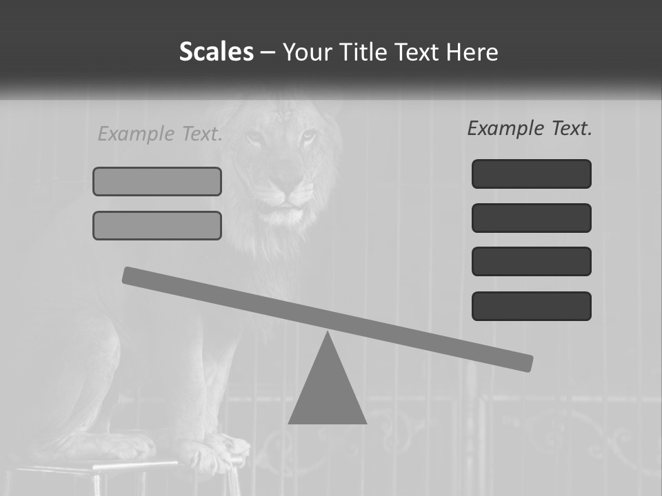 A Lion Sitting In A Cage On Top Of A Table PowerPoint Template