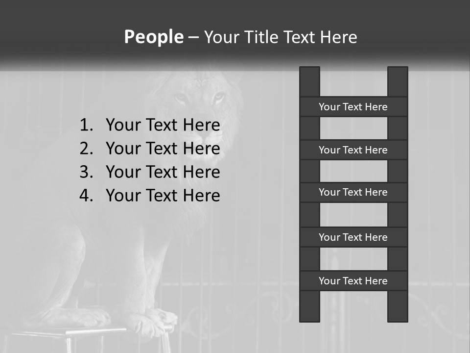 A Lion Sitting In A Cage On Top Of A Table PowerPoint Template
