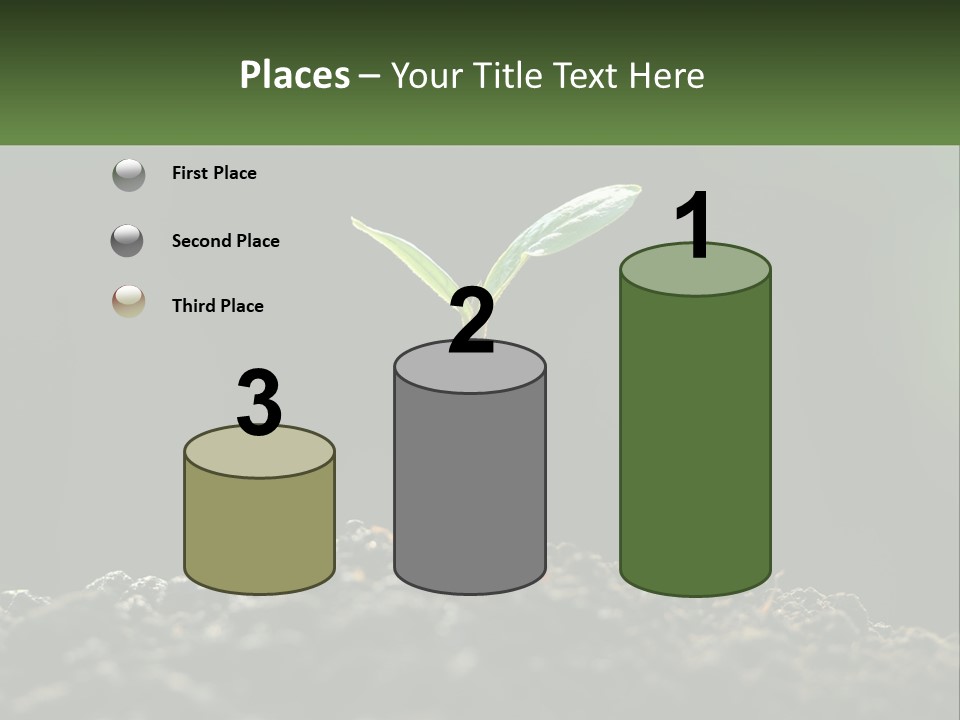 A Small Green Plant Sprouting From The Ground PowerPoint Template
