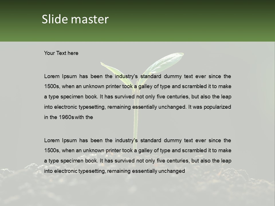 A Small Green Plant Sprouting From The Ground PowerPoint Template