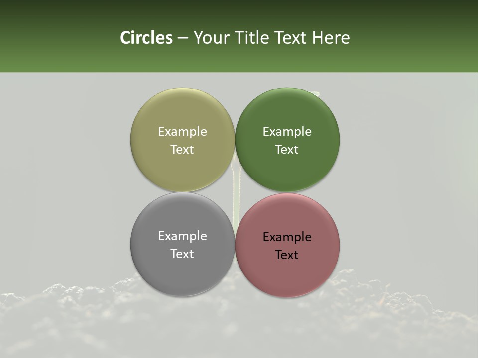 A Small Green Plant Sprouting From The Ground PowerPoint Template