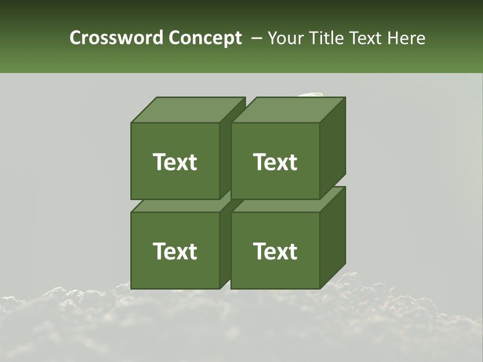 A Small Green Plant Sprouting From The Ground PowerPoint Template