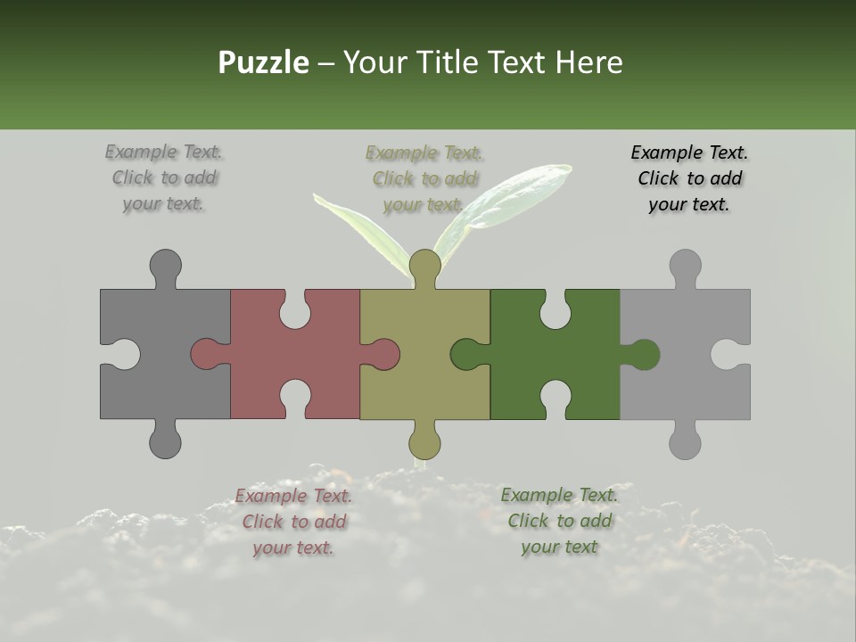 A Small Green Plant Sprouting From The Ground PowerPoint Template