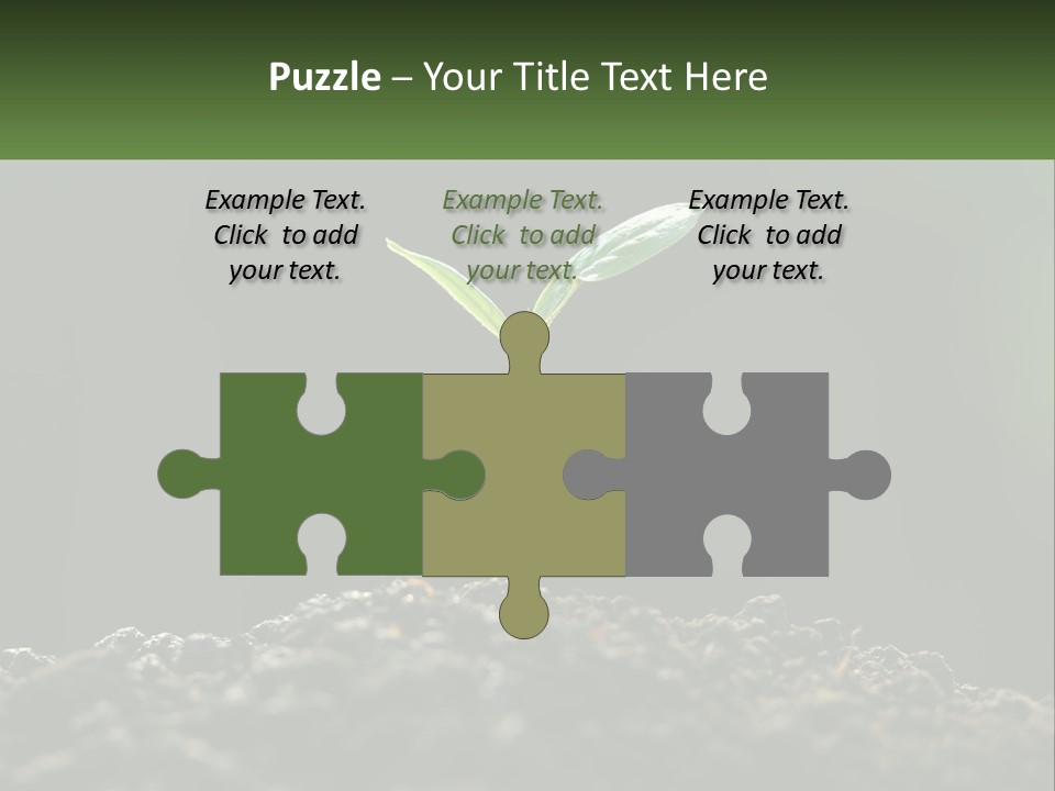 A Small Green Plant Sprouting From The Ground PowerPoint Template