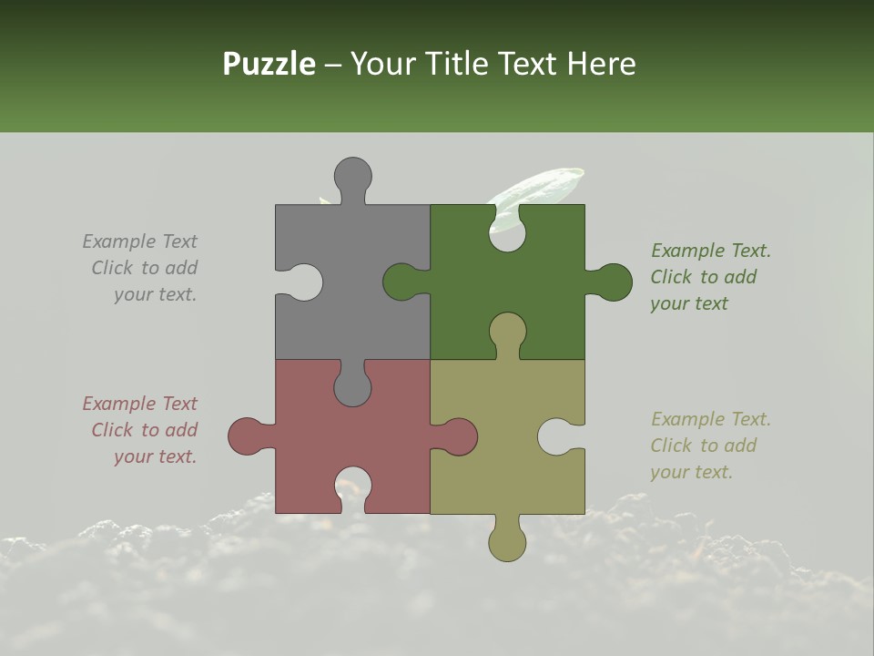 A Small Green Plant Sprouting From The Ground PowerPoint Template
