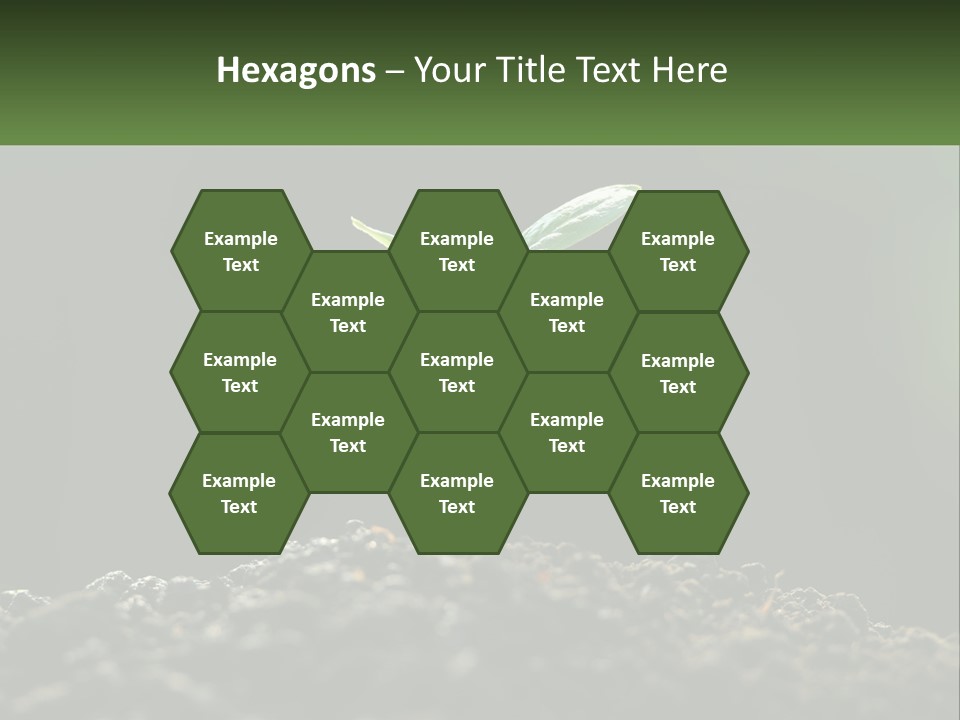 A Small Green Plant Sprouting From The Ground PowerPoint Template