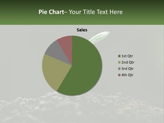 A Small Green Plant Sprouting From The Ground PowerPoint Template