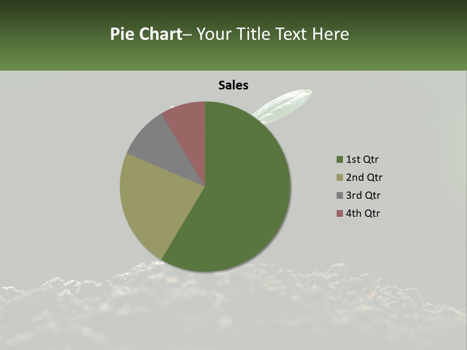 A Small Green Plant Sprouting From The Ground PowerPoint Template
