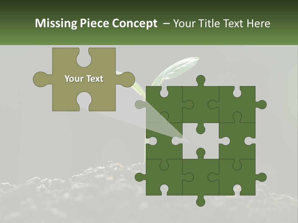 A Small Green Plant Sprouting From The Ground PowerPoint Template