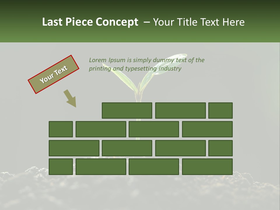 A Small Green Plant Sprouting From The Ground PowerPoint Template