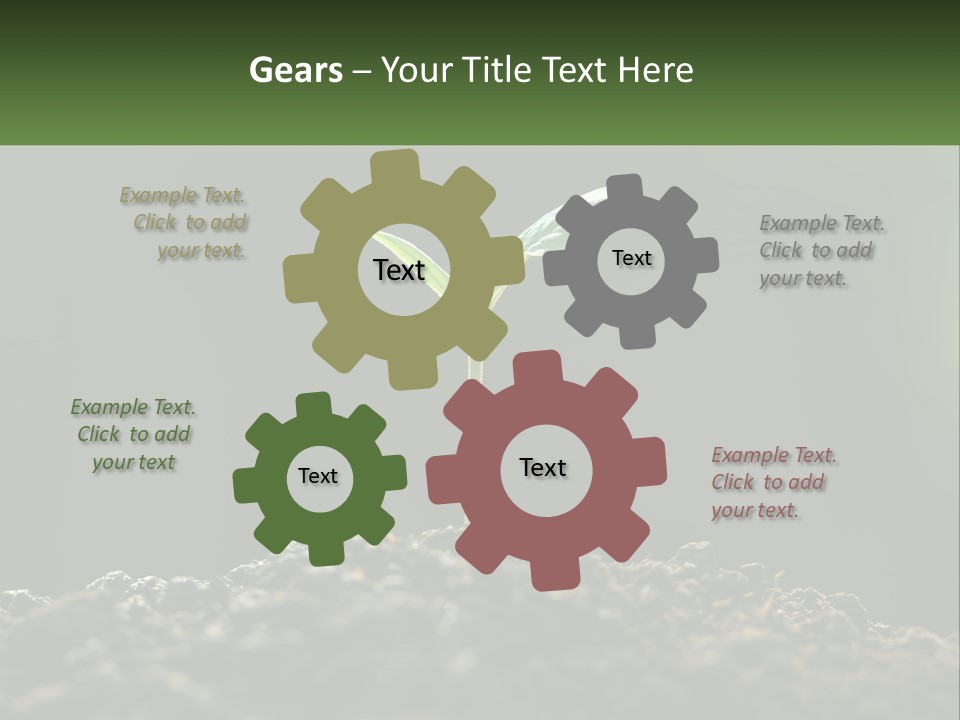 A Small Green Plant Sprouting From The Ground PowerPoint Template