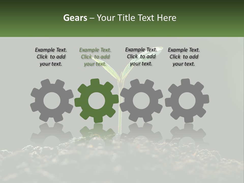 A Small Green Plant Sprouting From The Ground PowerPoint Template