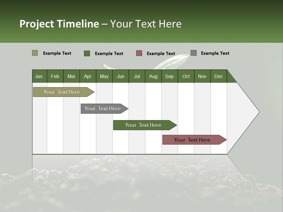 A Small Green Plant Sprouting From The Ground PowerPoint Template