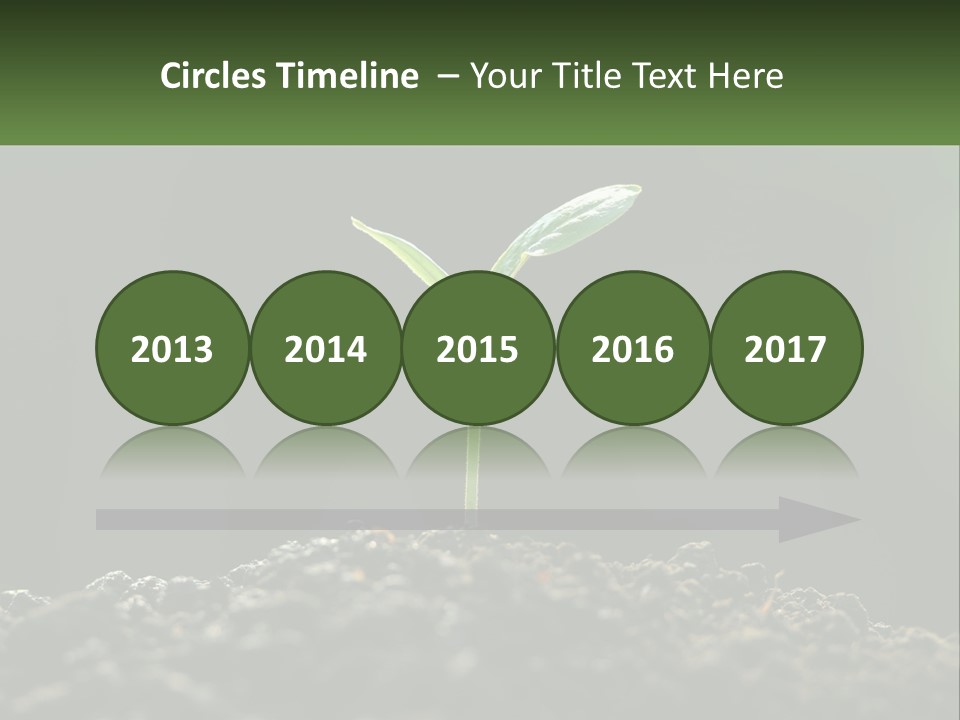 A Small Green Plant Sprouting From The Ground PowerPoint Template