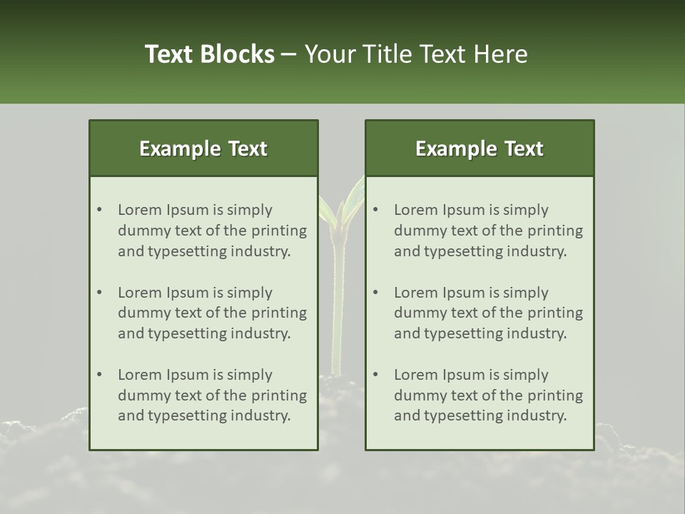 A Small Green Plant Sprouting From The Ground PowerPoint Template
