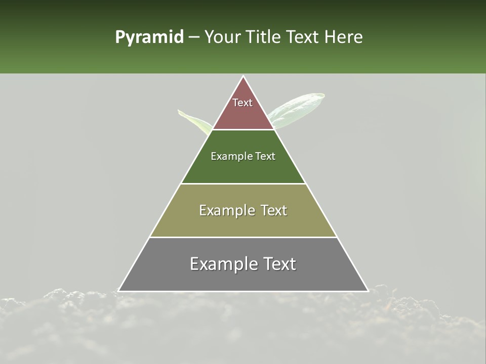 A Small Green Plant Sprouting From The Ground PowerPoint Template