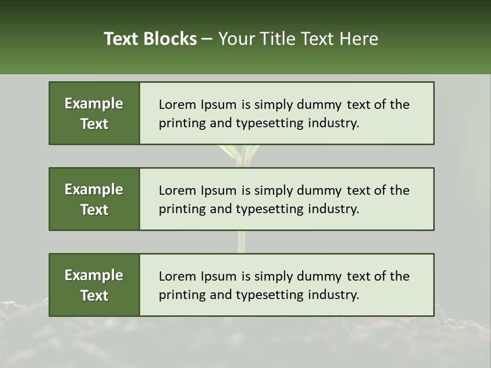 A Small Green Plant Sprouting From The Ground PowerPoint Template