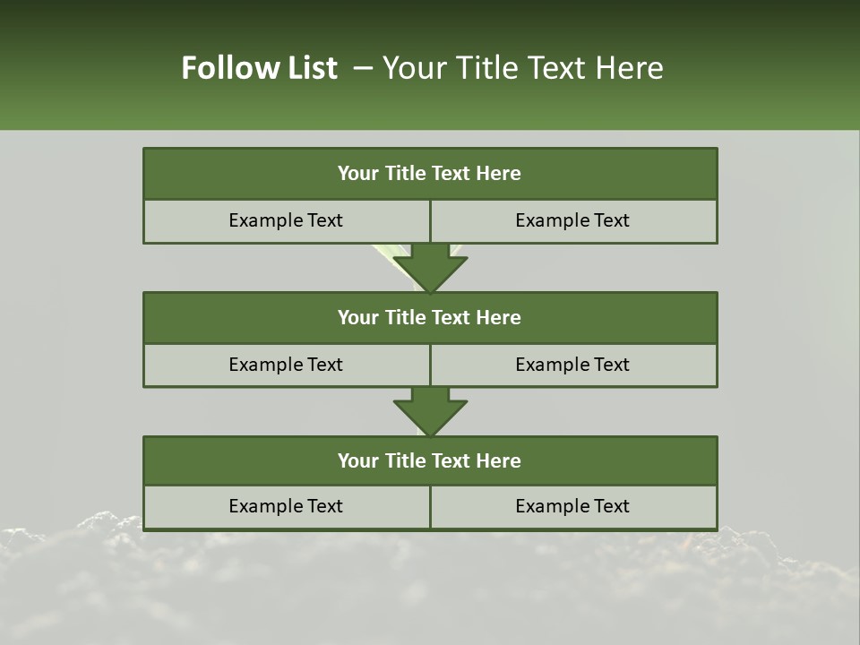 A Small Green Plant Sprouting From The Ground PowerPoint Template