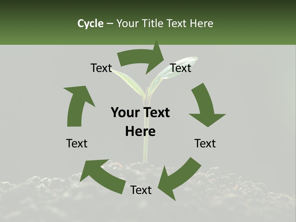 A Small Green Plant Sprouting From The Ground PowerPoint Template