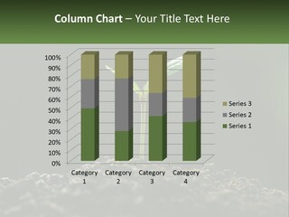 A Small Green Plant Sprouting From The Ground PowerPoint Template