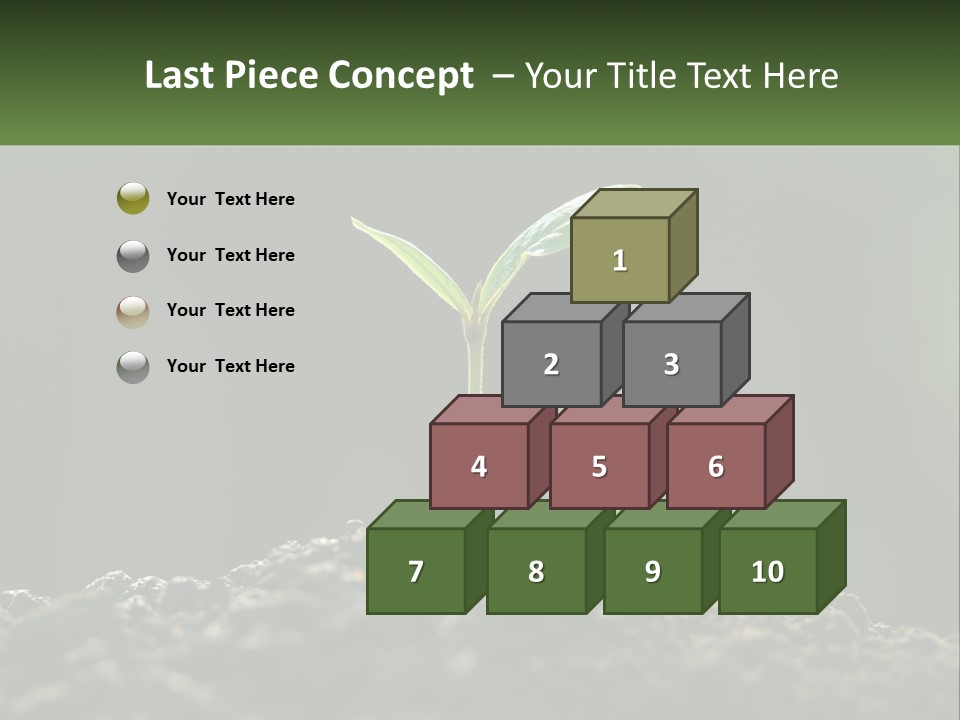 A Small Green Plant Sprouting From The Ground PowerPoint Template