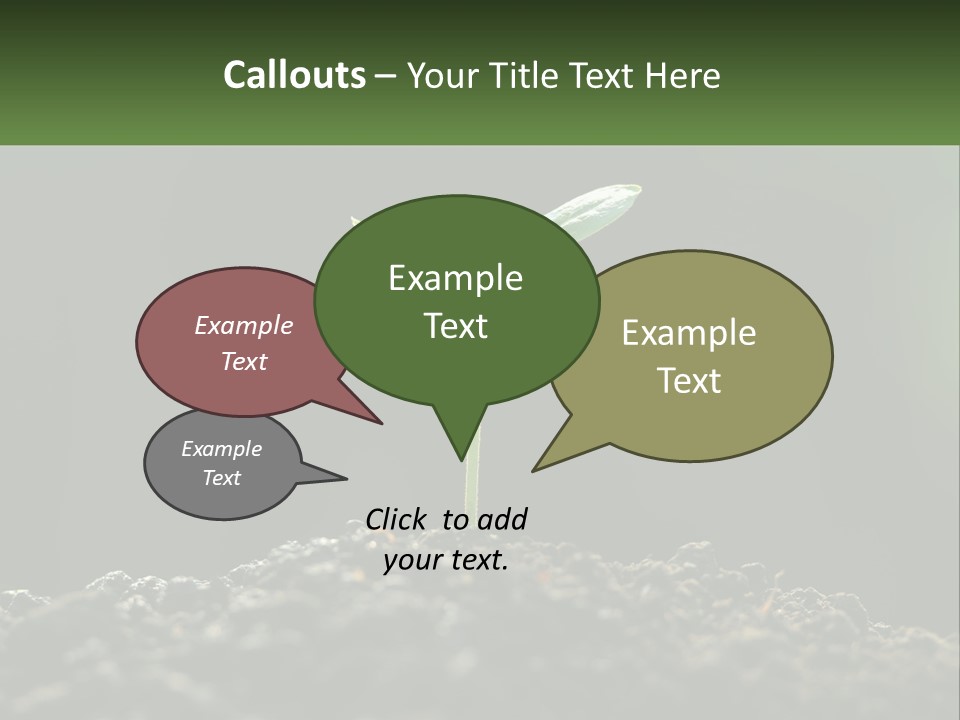 A Small Green Plant Sprouting From The Ground PowerPoint Template