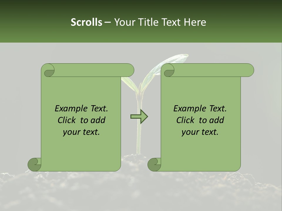 A Small Green Plant Sprouting From The Ground PowerPoint Template