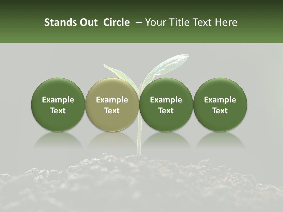 A Small Green Plant Sprouting From The Ground PowerPoint Template