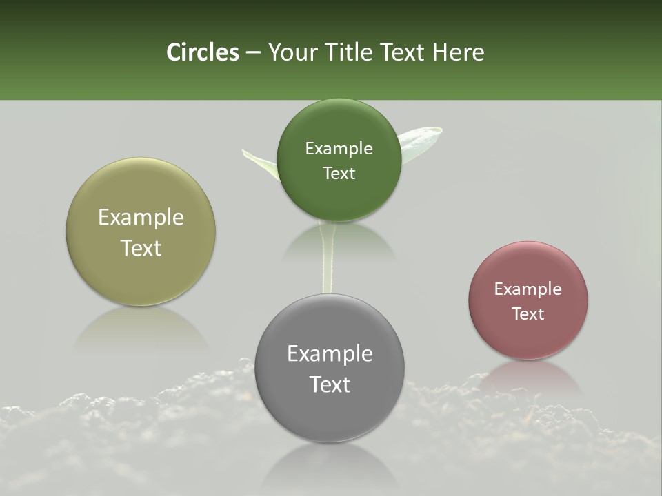A Small Green Plant Sprouting From The Ground PowerPoint Template
