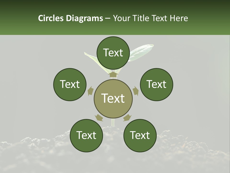 A Small Green Plant Sprouting From The Ground PowerPoint Template