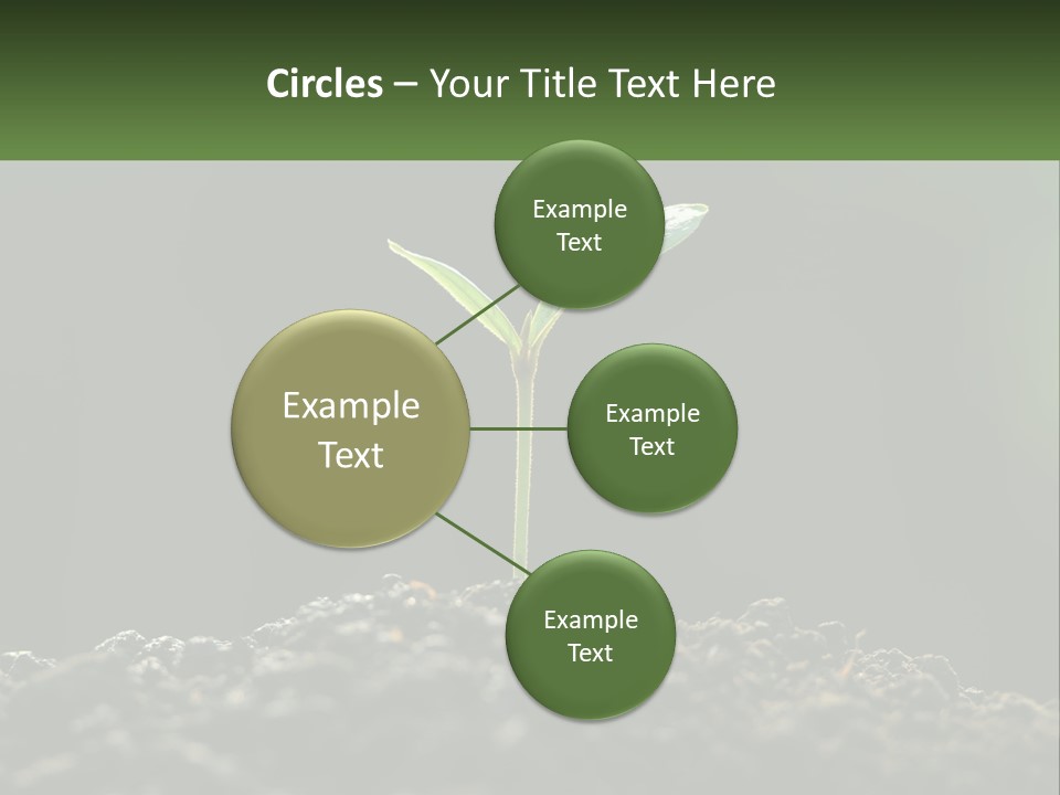 A Small Green Plant Sprouting From The Ground PowerPoint Template
