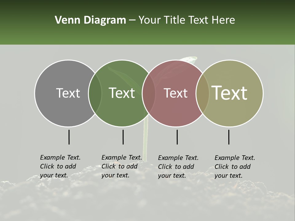 A Small Green Plant Sprouting From The Ground PowerPoint Template