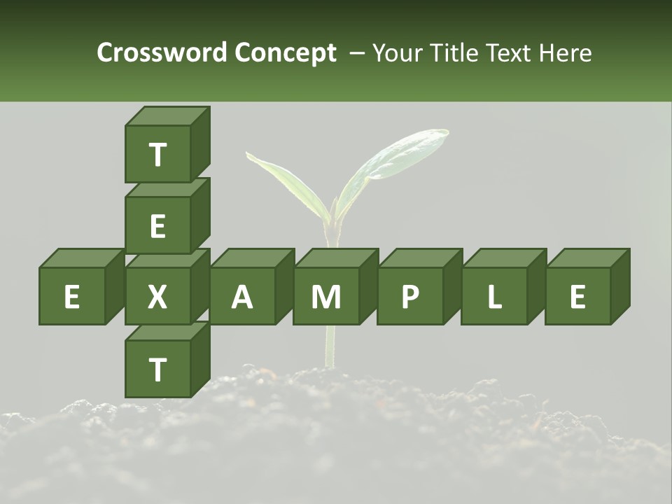 A Small Green Plant Sprouting From The Ground PowerPoint Template