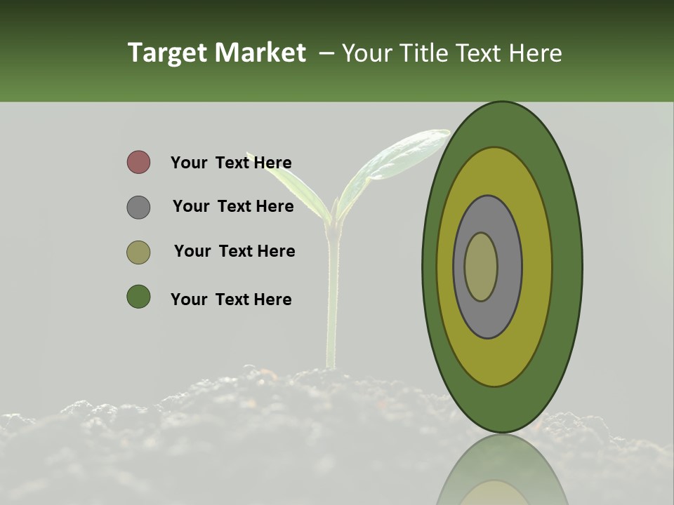 A Small Green Plant Sprouting From The Ground PowerPoint Template