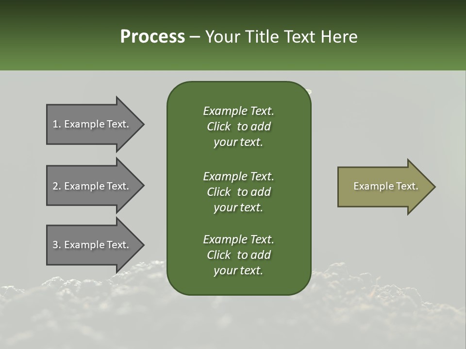 A Small Green Plant Sprouting From The Ground PowerPoint Template