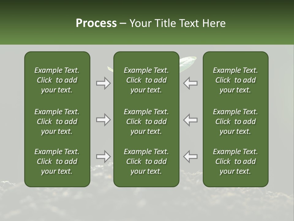 A Small Green Plant Sprouting From The Ground PowerPoint Template