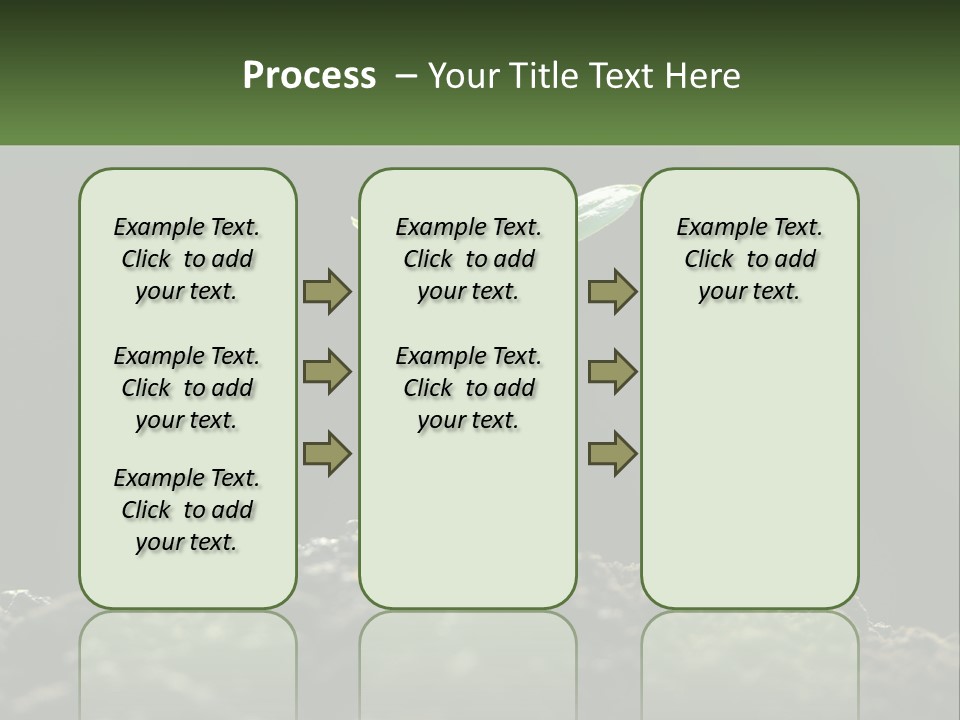 A Small Green Plant Sprouting From The Ground PowerPoint Template