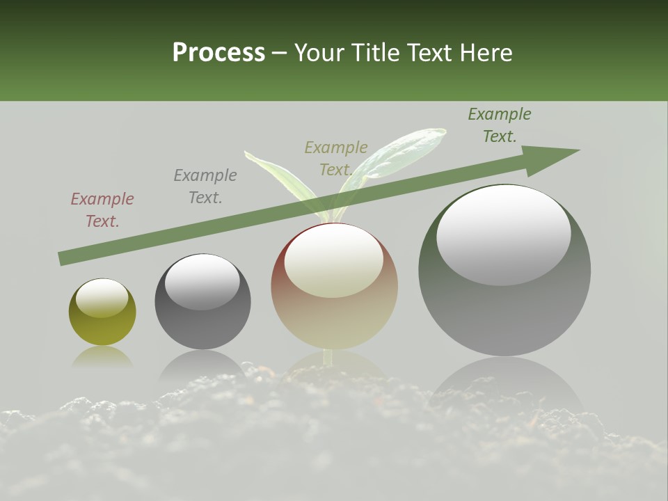 A Small Green Plant Sprouting From The Ground PowerPoint Template