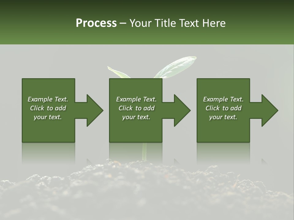 A Small Green Plant Sprouting From The Ground PowerPoint Template